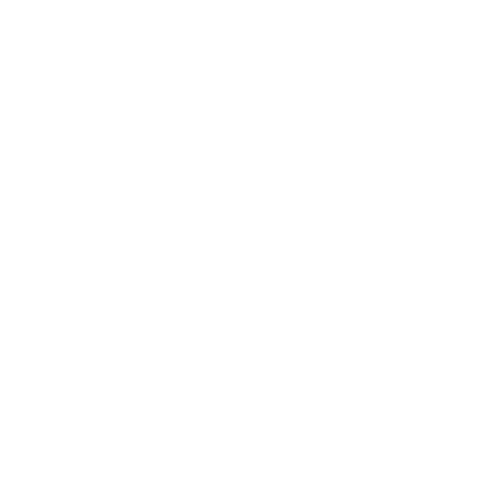 FSLSO Logo